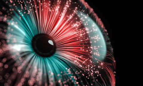 PROTECTING
MALAYSIAN'S DATA